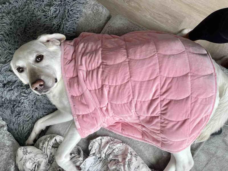 Review Thumbnail Image 0 227898838