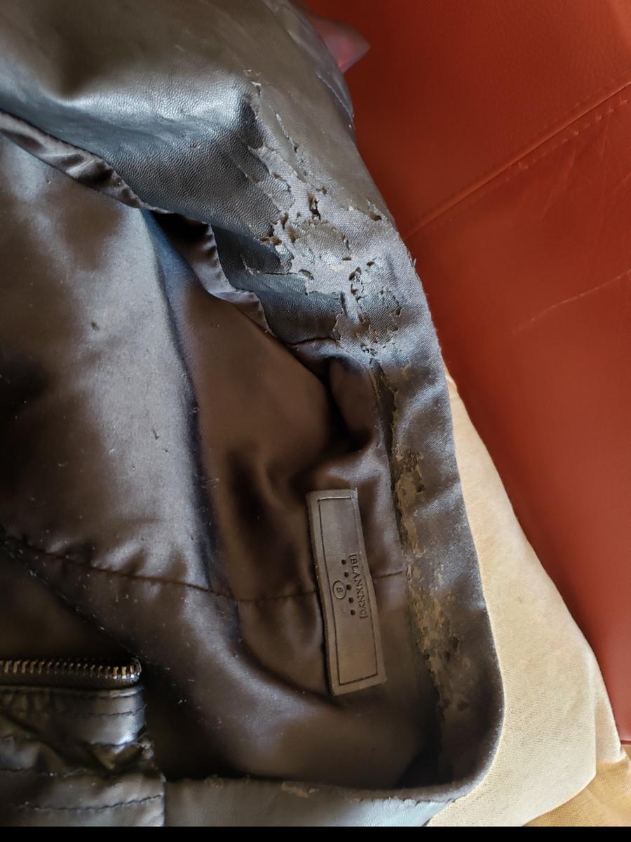 Review Thumbnail Image 1 193514041