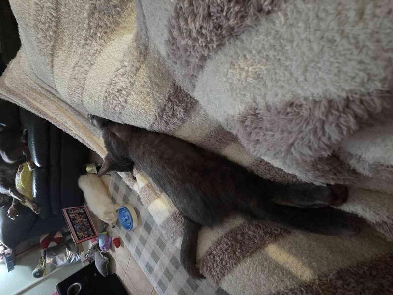 Review Thumbnail Image 0 243472459