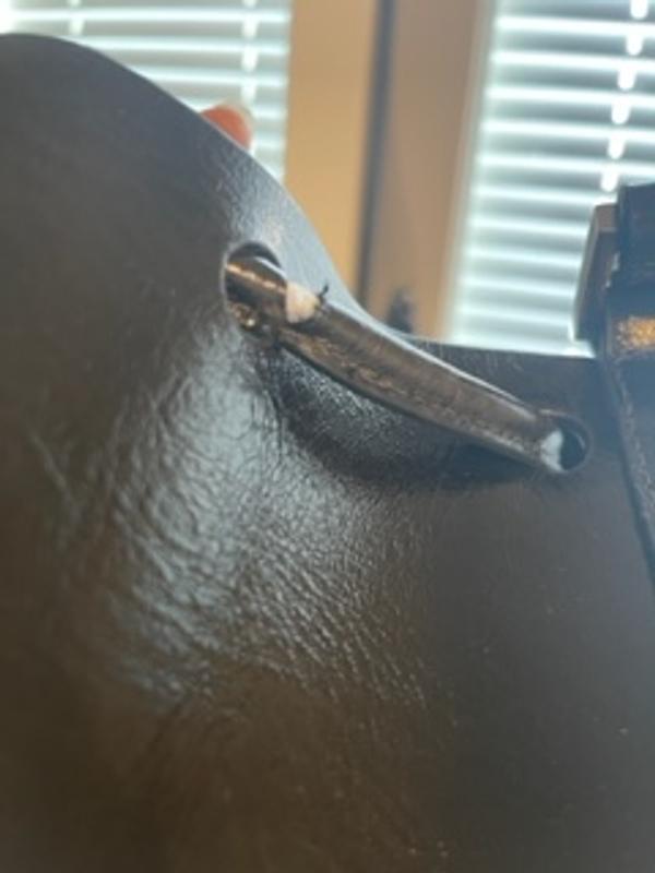 Review Thumbnail Image 1 215332360