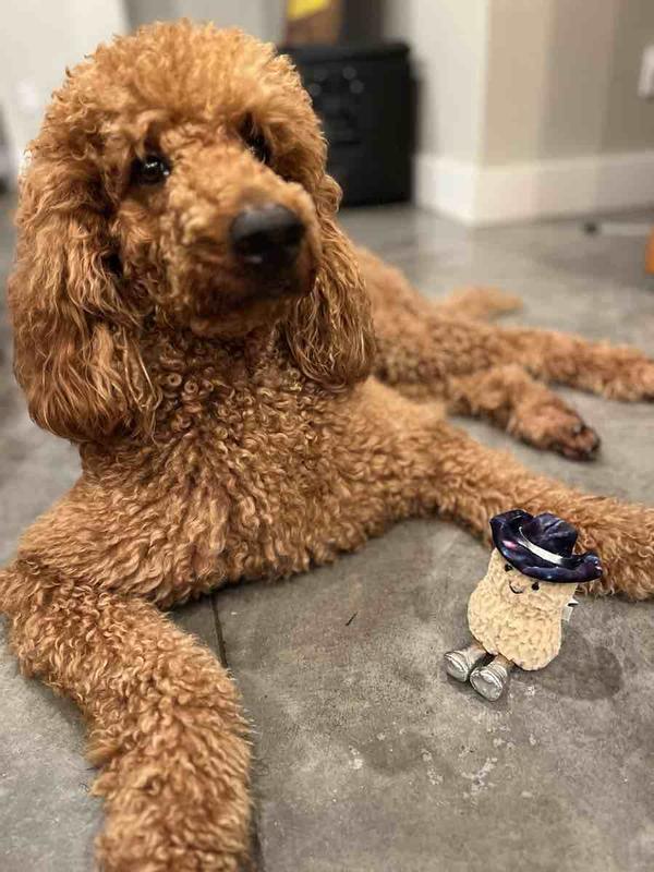 Review Thumbnail Image 1 249007686