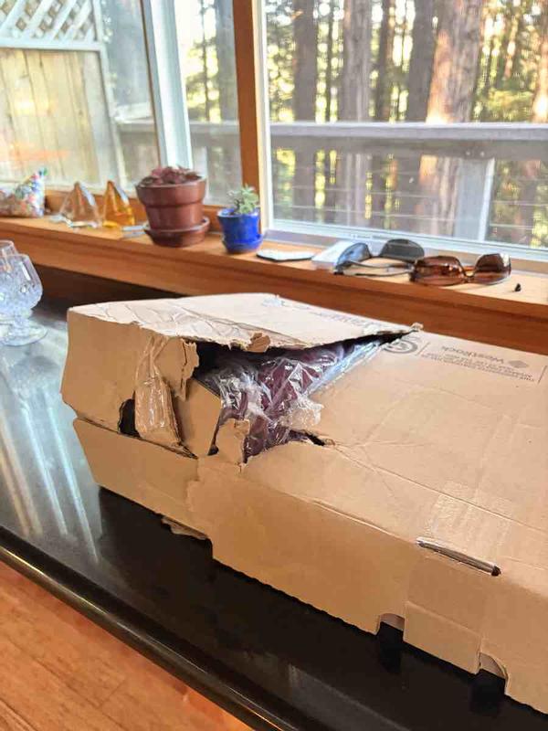 Review Thumbnail Image 1 250574163