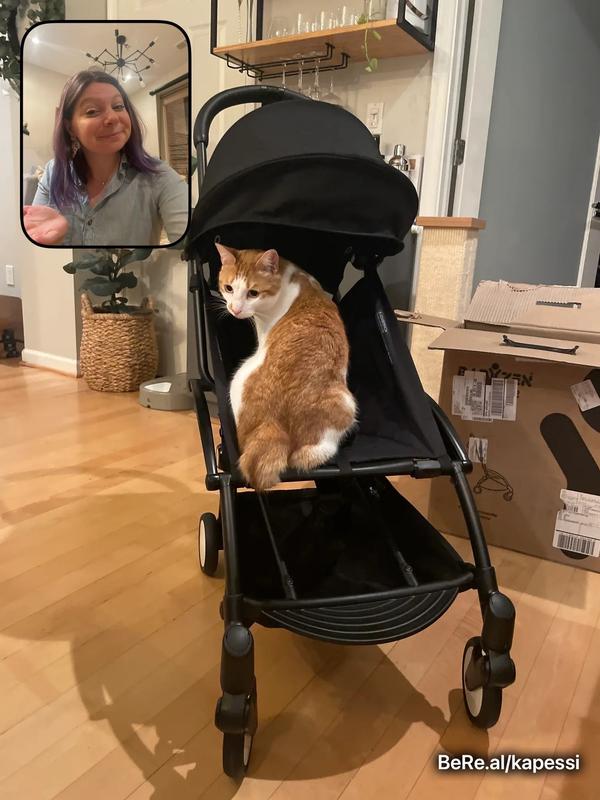 Review Thumbnail Image 0 223631961