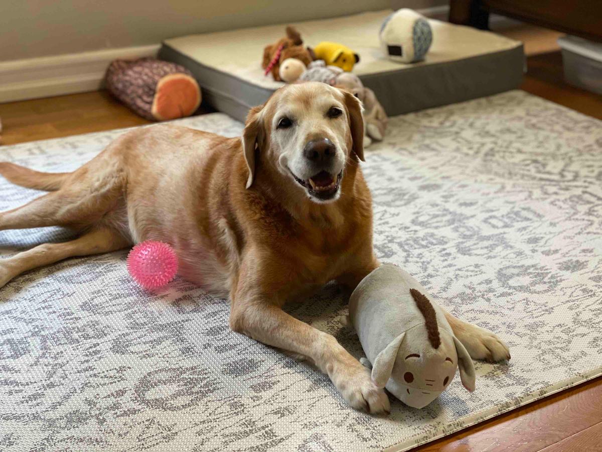 Review Thumbnail Image 0 199258144