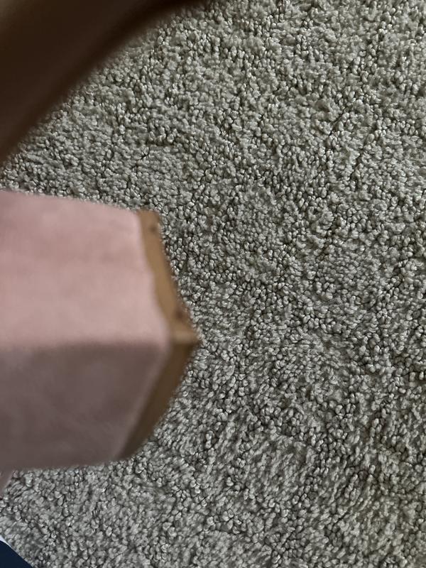 Review Thumbnail Image 0 243439823