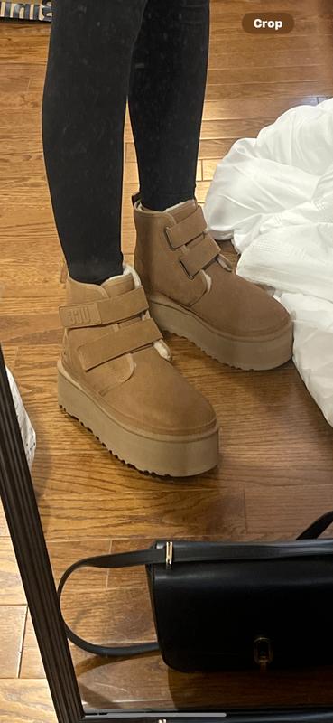 Review Thumbnail Image 0 229359792