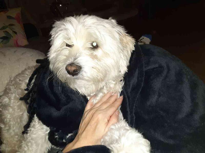 Comfy, Snuggly, Warm!