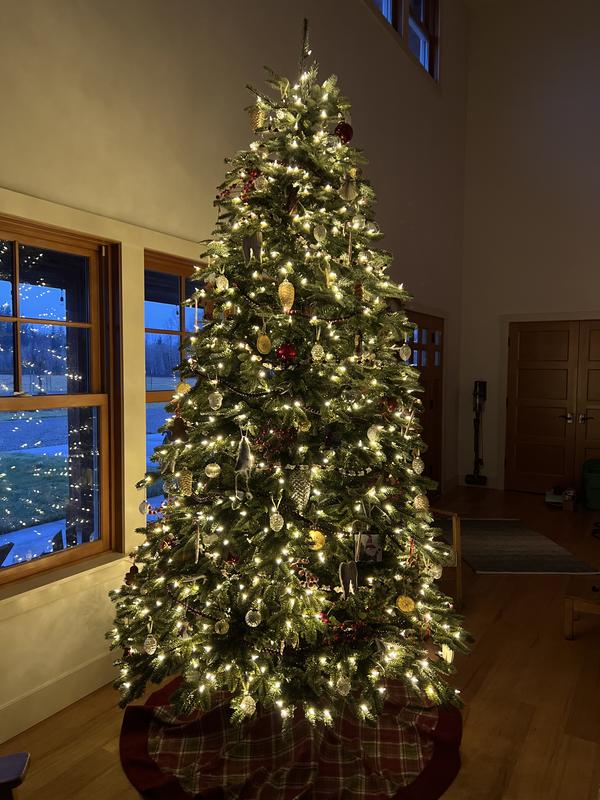 Review Thumbnail Image 0 221838532