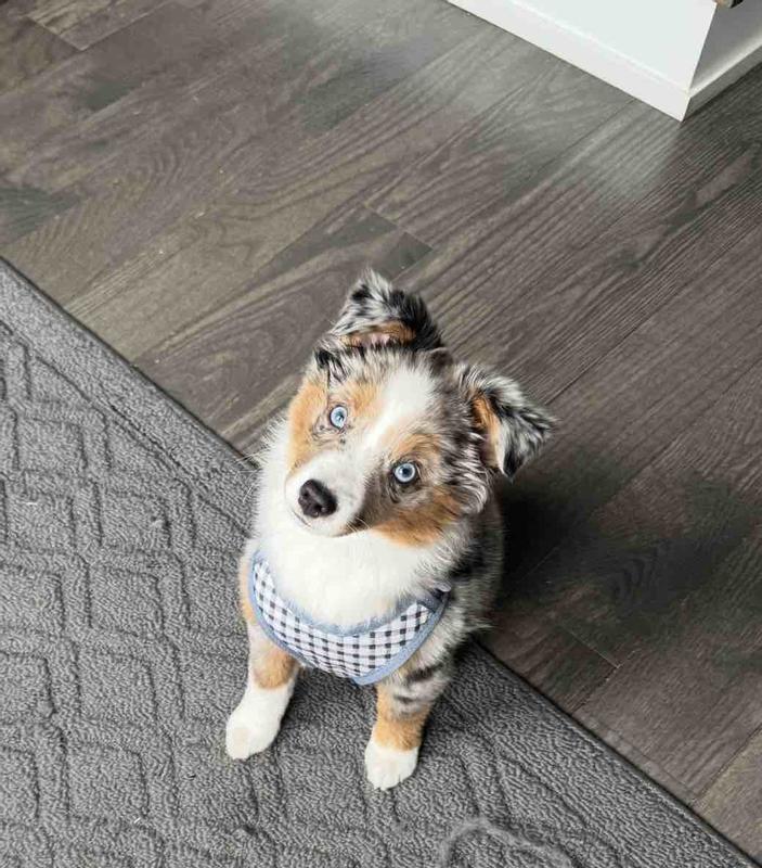 Review Thumbnail Image 0 249078510