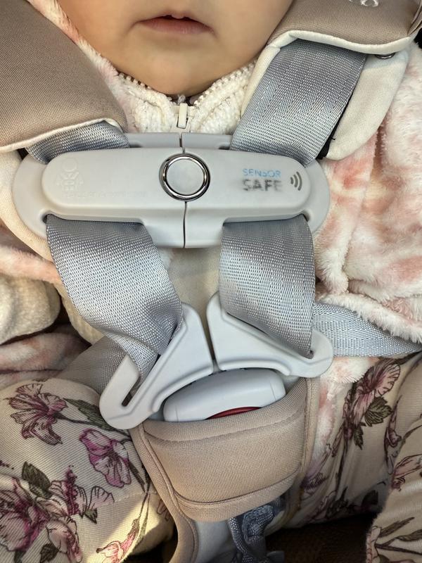 Review Thumbnail Image 0 246445827