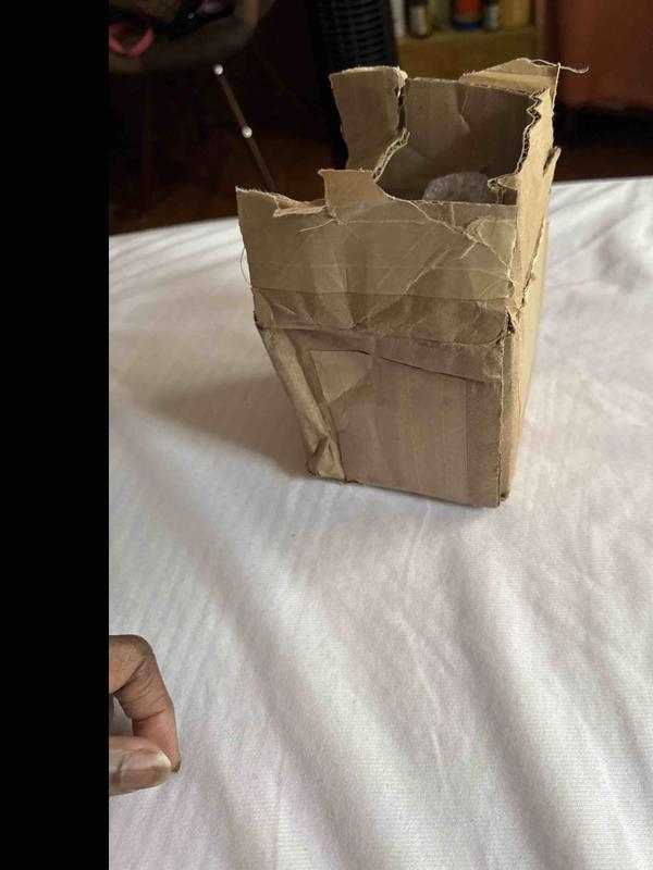 Review Thumbnail Image 1 243355360