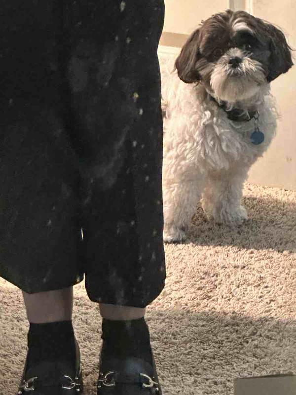 Review Thumbnail Image 2 236215377