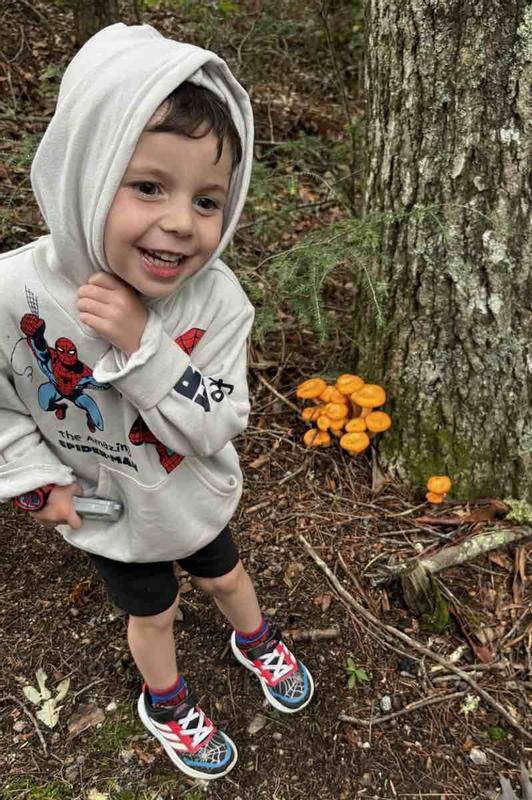 Review Thumbnail Image 0 243879785