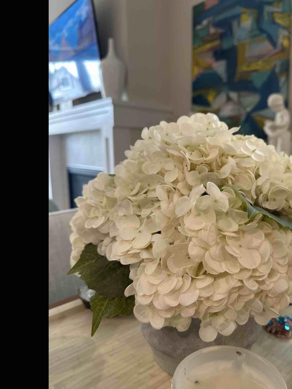 Review Thumbnail Image 0 248986712