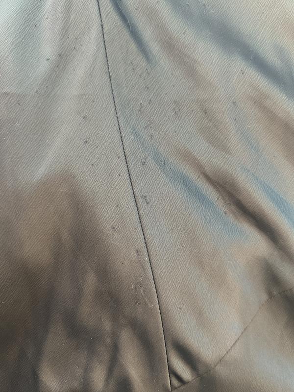 Review Thumbnail Image 0 242542119