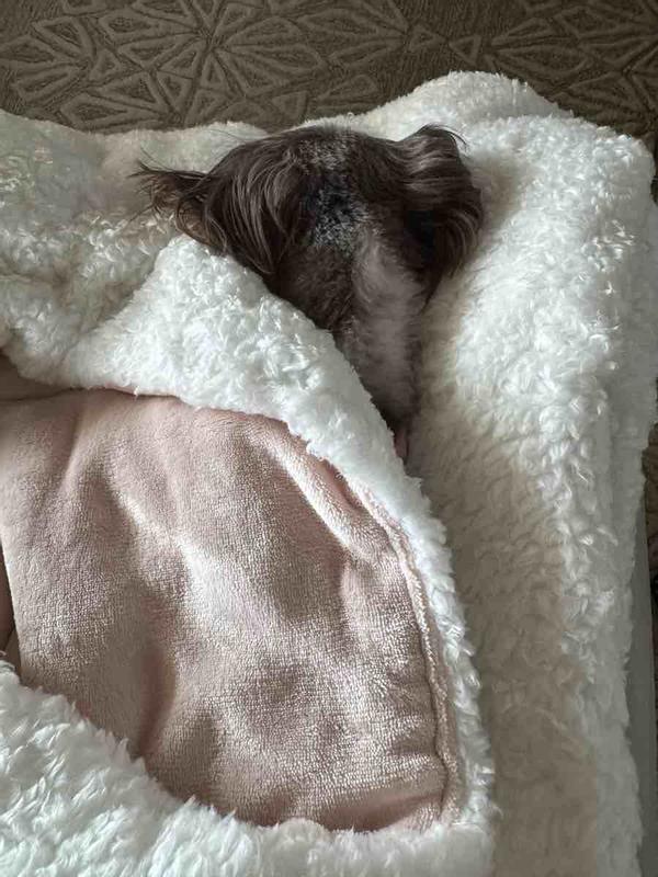 Review Thumbnail Image 0 243360596