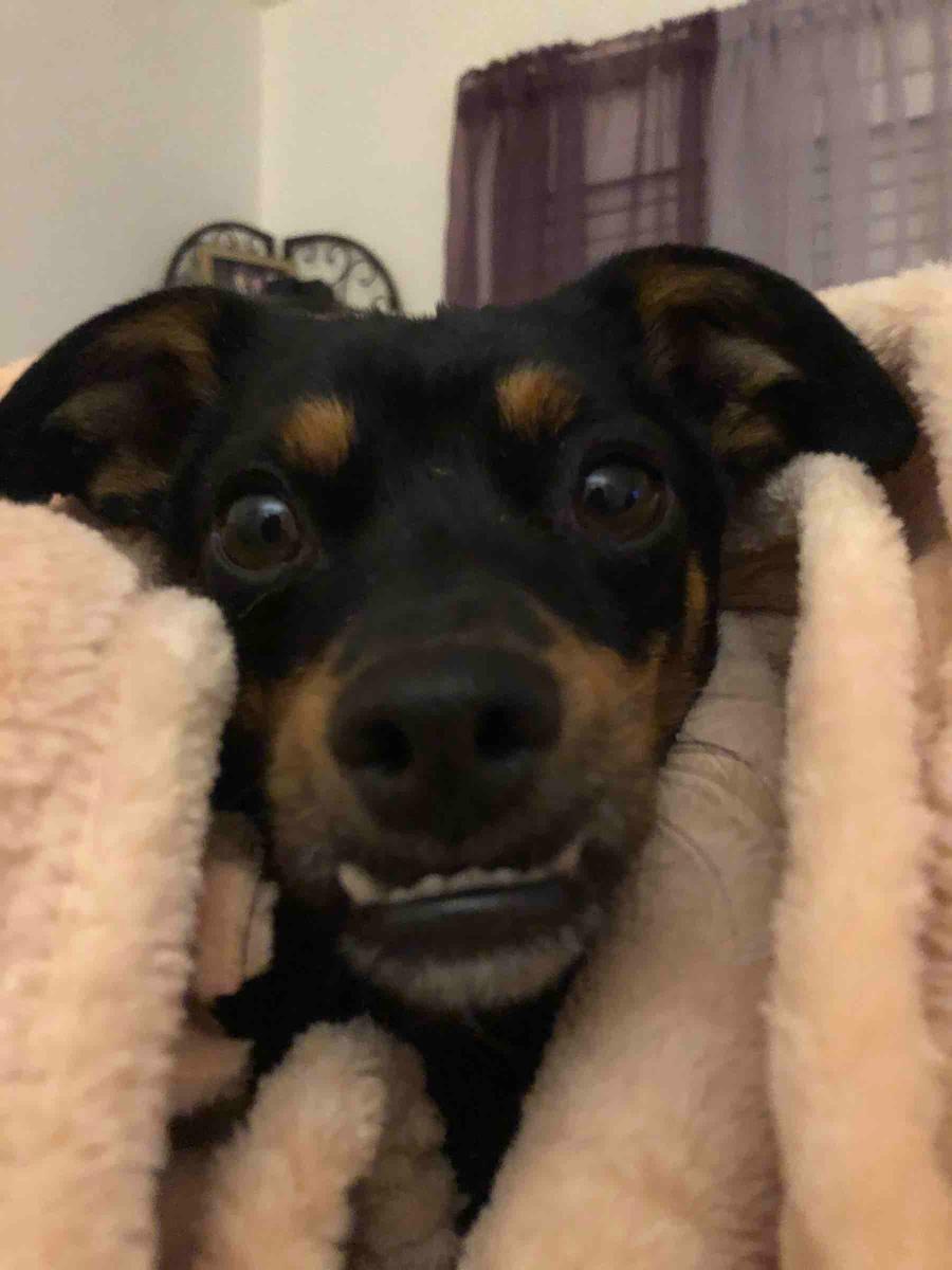 Review Thumbnail Image 3 192040064