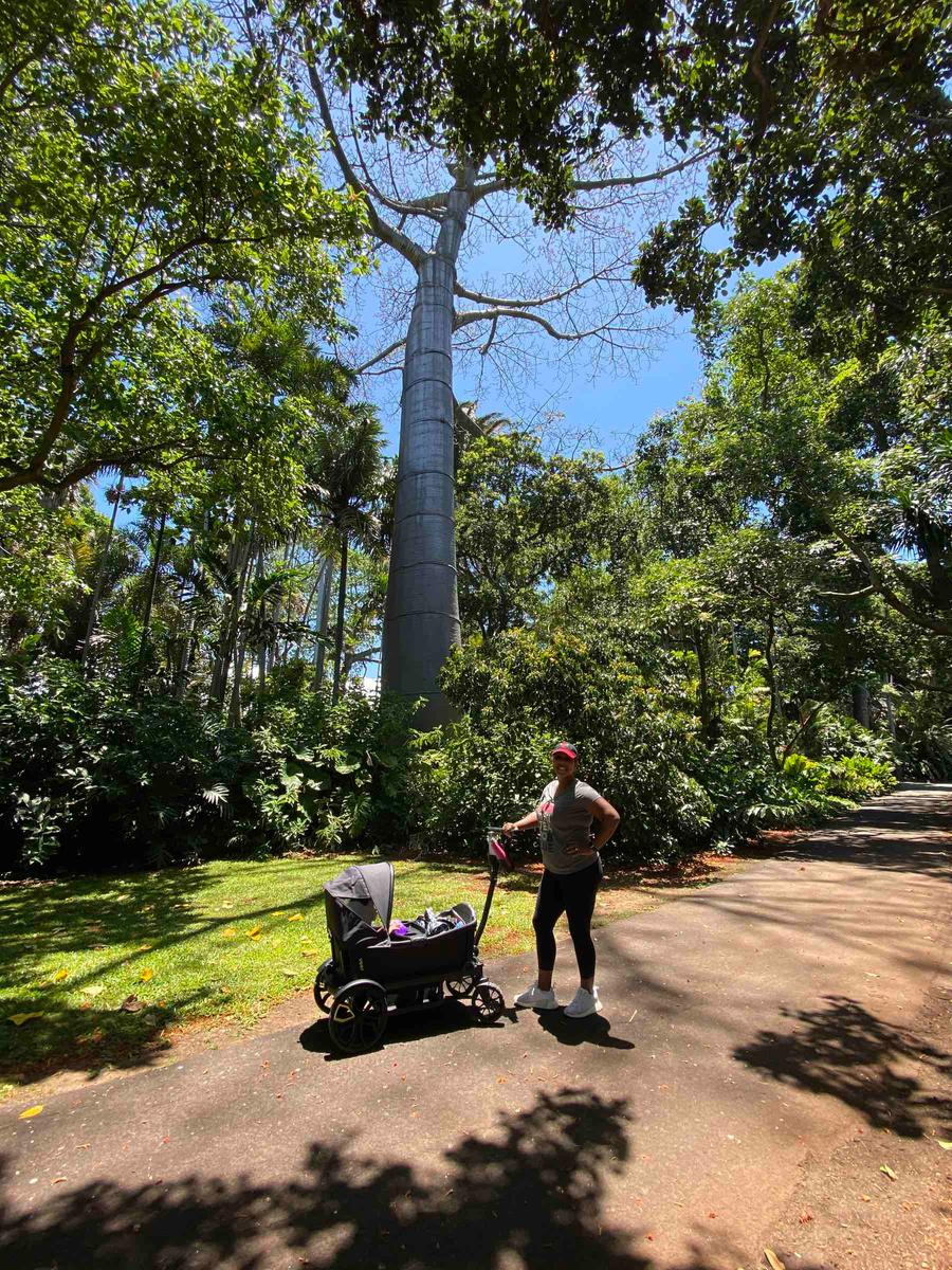 Review Thumbnail Image 0 196344775