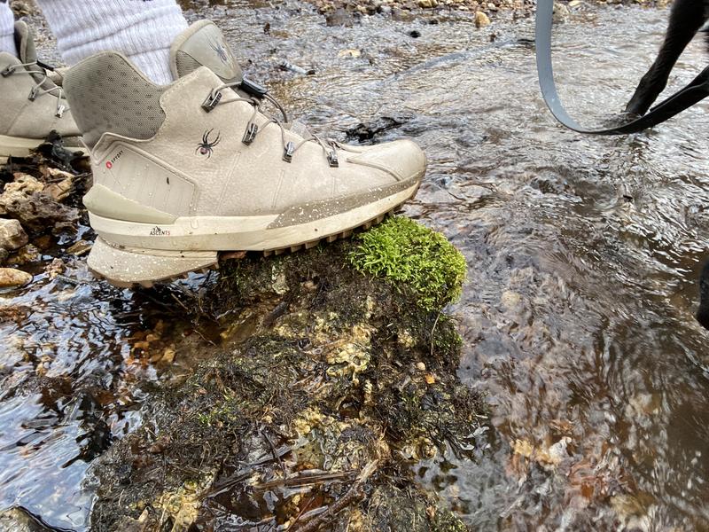 Review Thumbnail Image 0 223178623