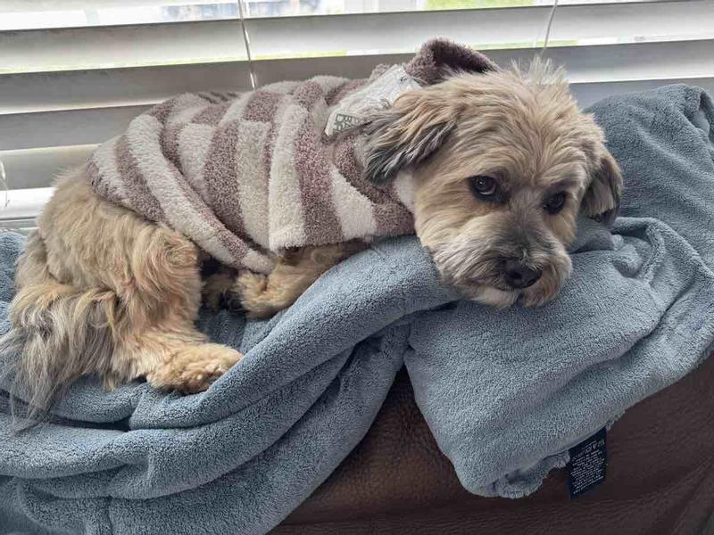 Review Thumbnail Image 1 239905110