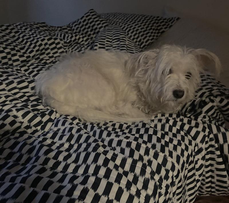 Review Thumbnail Image 0 222256699