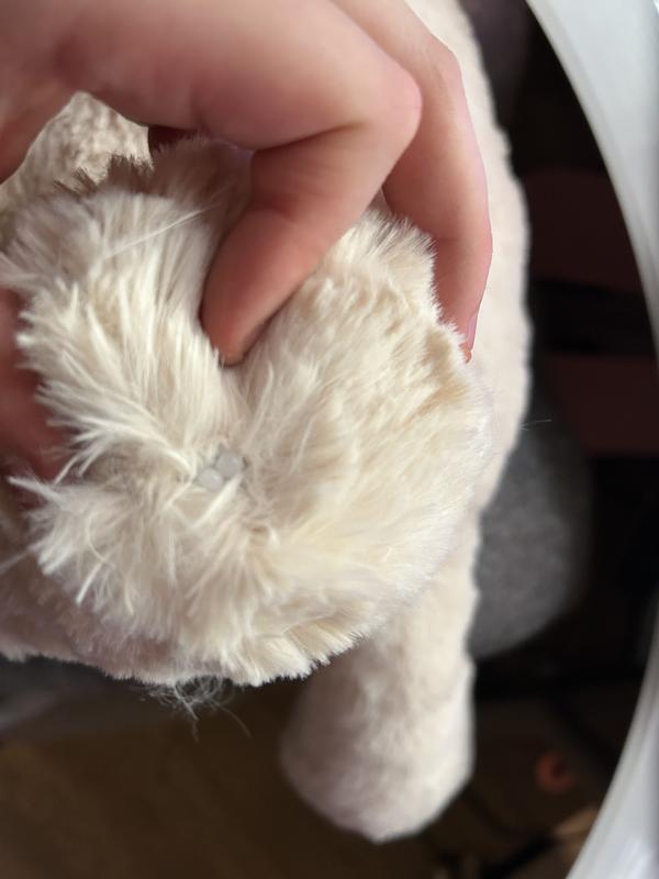 Review Thumbnail Image 0 240485189