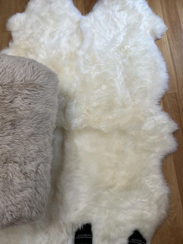 Review Thumbnail Image 0 239105854