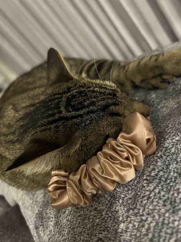 Review Thumbnail Image 0 237977469