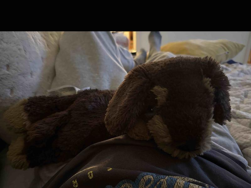 Review Thumbnail Image 0 247245146