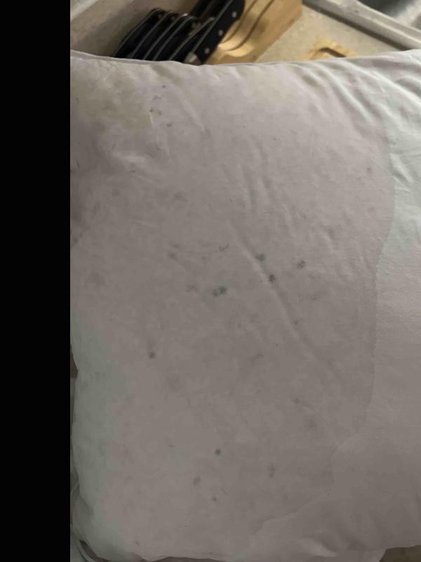 Review Thumbnail Image 0 249672485