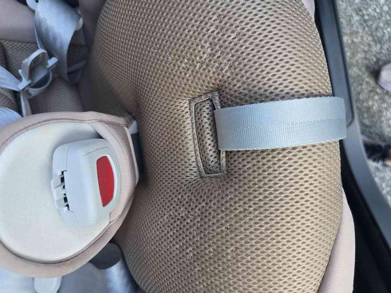 Review Thumbnail Image 0 243302585