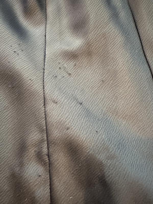 Review Thumbnail Image 1 242542119