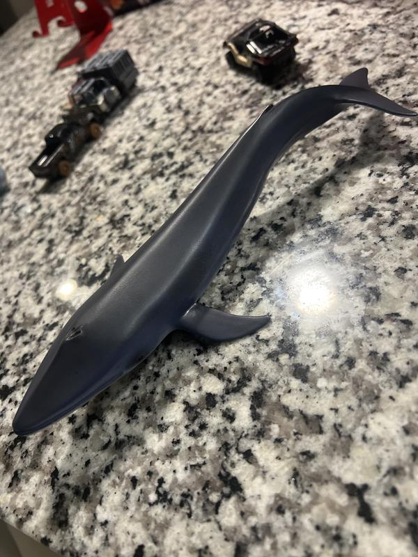 Review Thumbnail Image 0 249078500