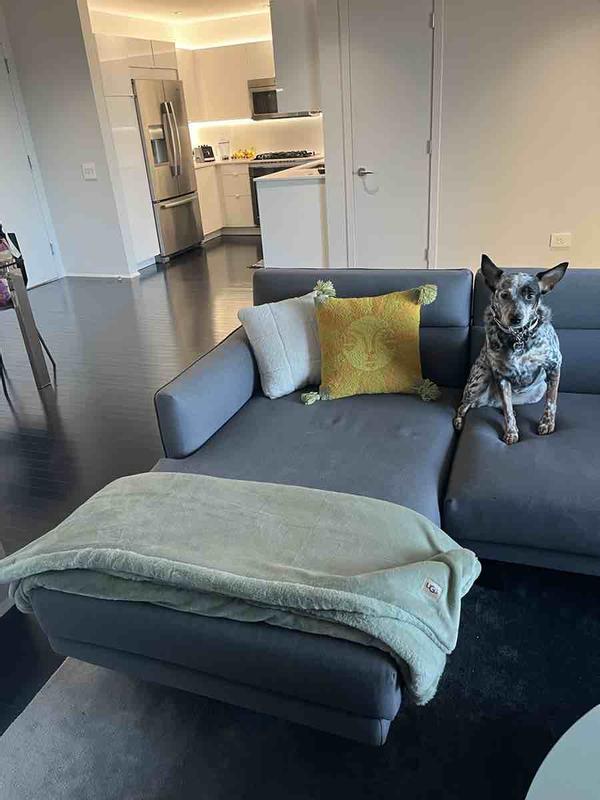 Customer photo for "such a satisfying blanket"
