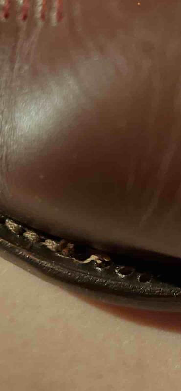 Review Thumbnail Image 0 248588825