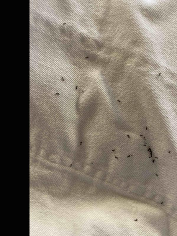 Review Thumbnail Image 0 238828309