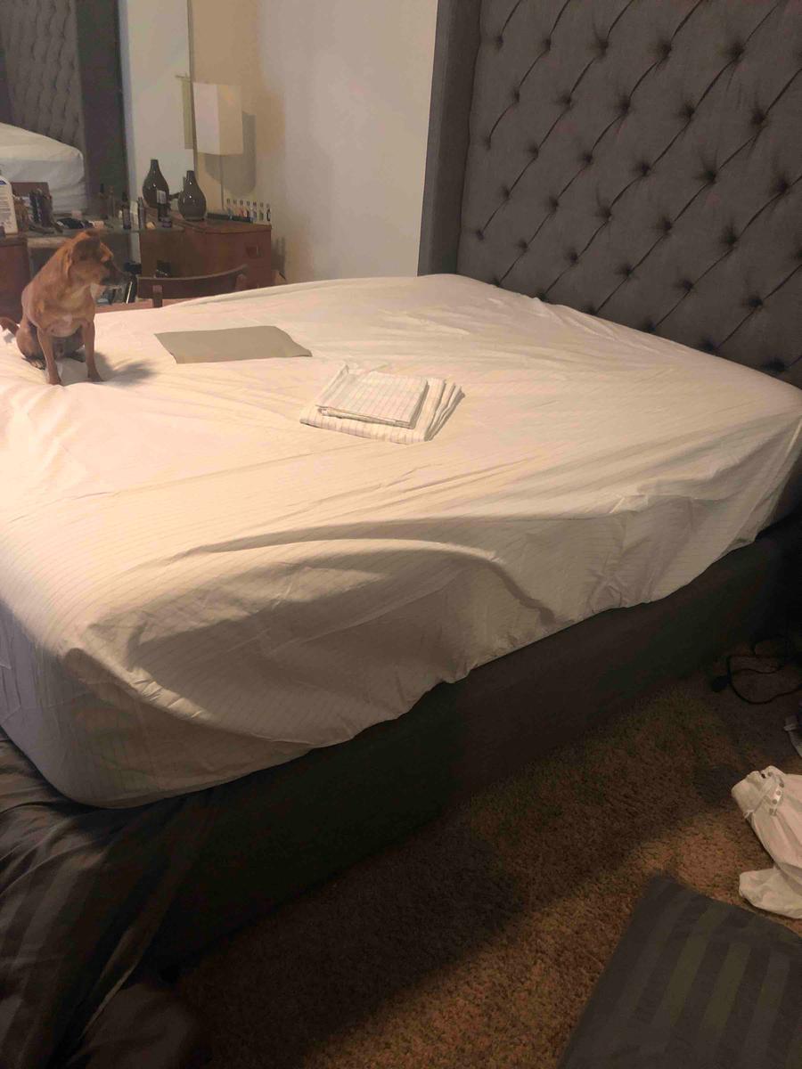 Review Thumbnail Image 0 196829419