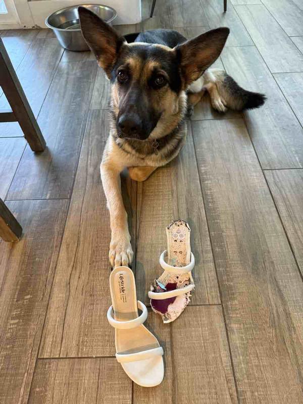 Review Thumbnail Image 1 241860038