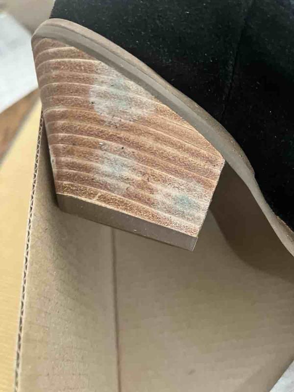 Review Thumbnail Image 1 243033086