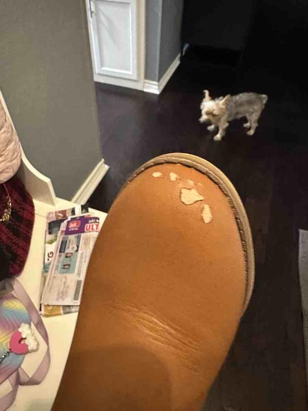 Review Thumbnail Image 0 229849903