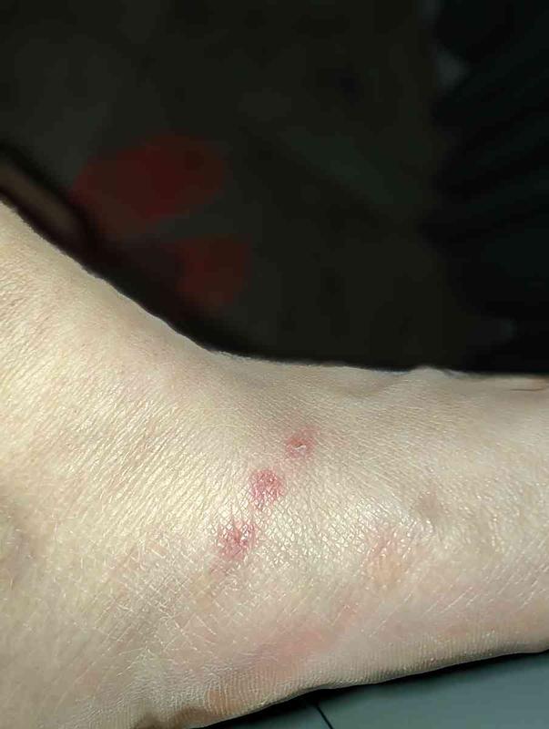 Review Thumbnail Image 0 249087228