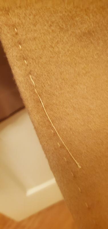 Review Thumbnail Image 2 238054721