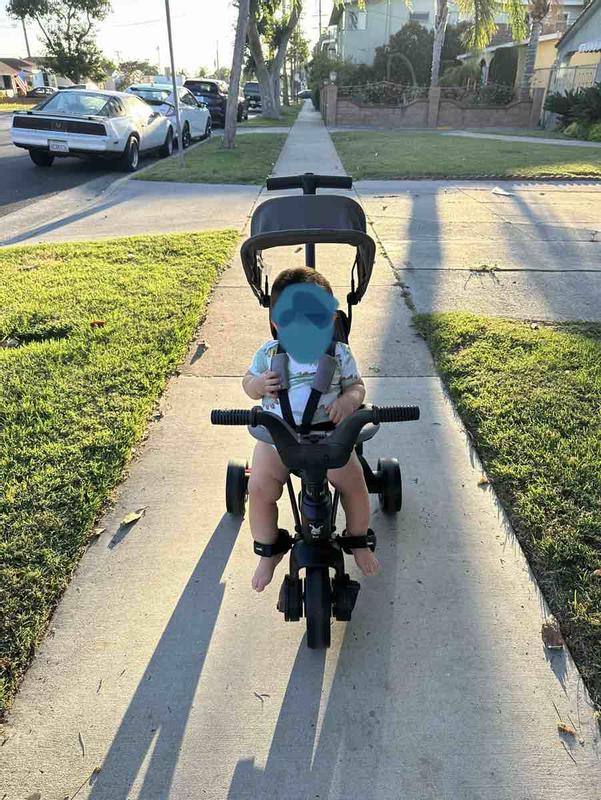 Customer photo for "easy to set up. lightweight, and"