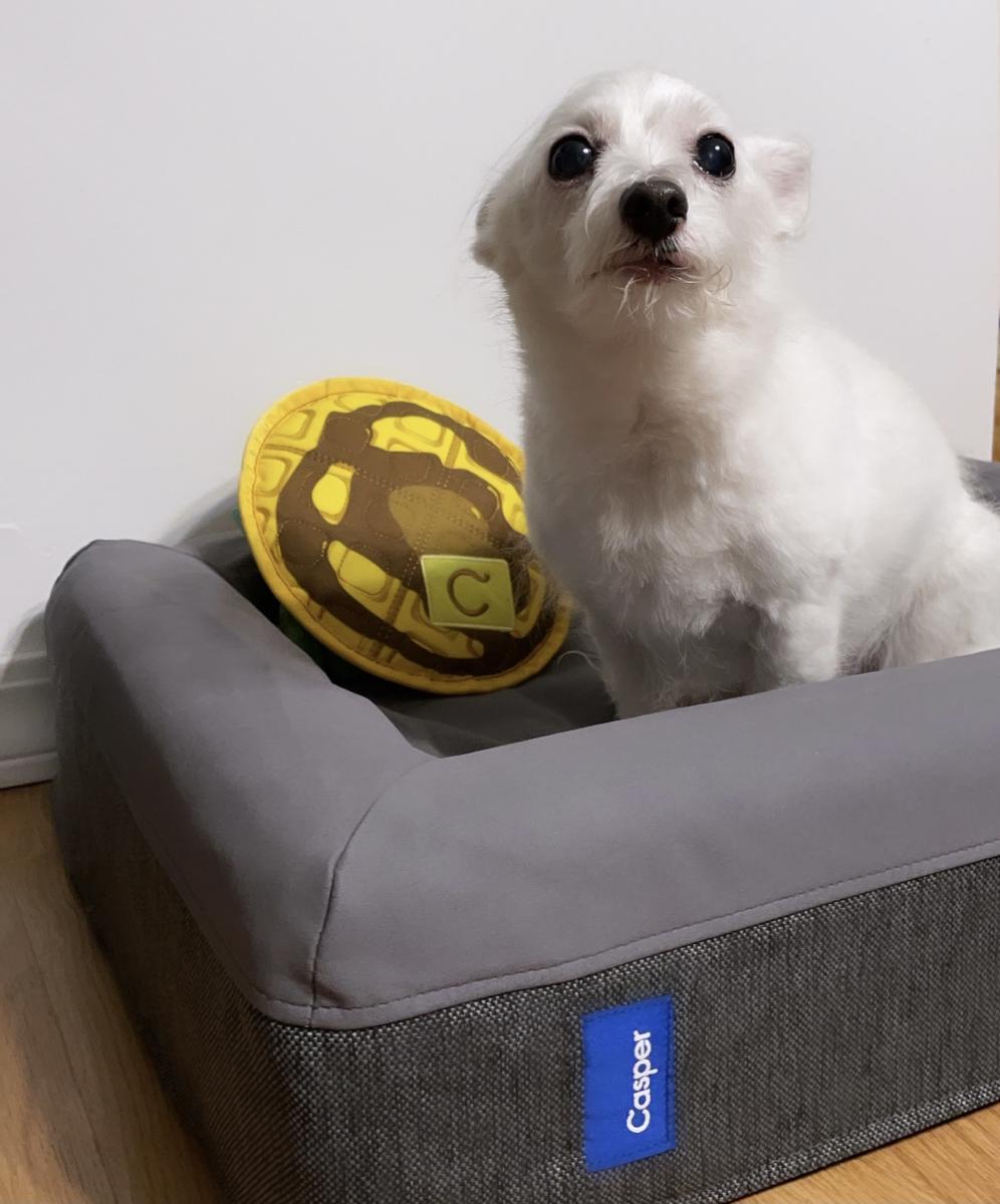 Review Thumbnail Image 0 204681968