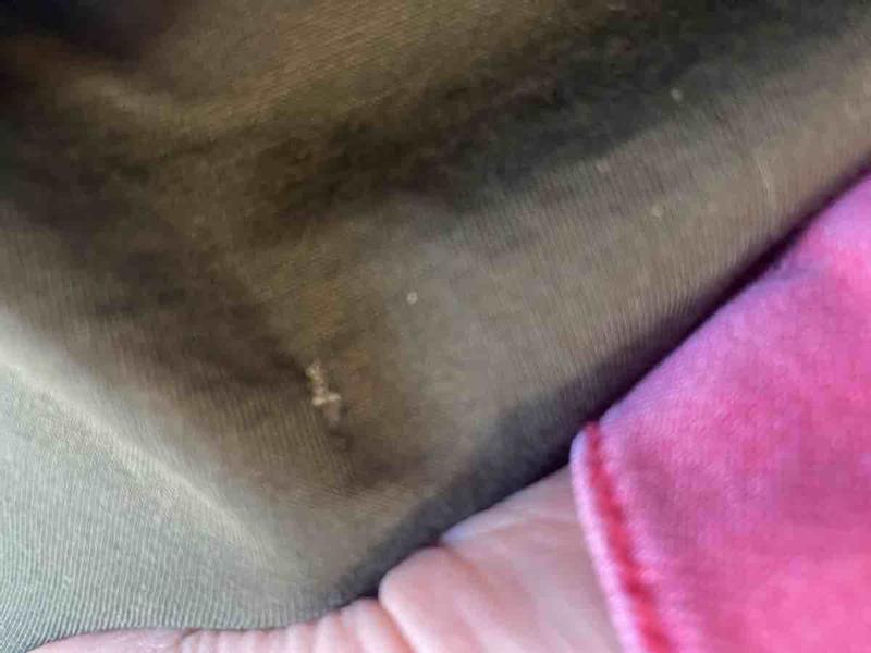 Review Thumbnail Image 0 230194907