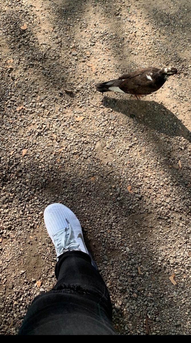 Review Thumbnail Image 1 190548187