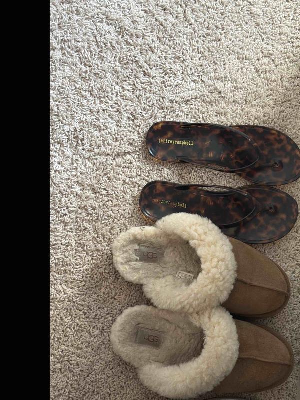 Customer photo for "so cute but theyre small asl"