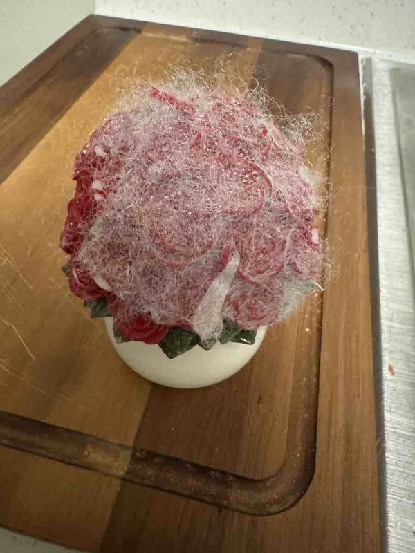 Review Thumbnail Image 0 246625257