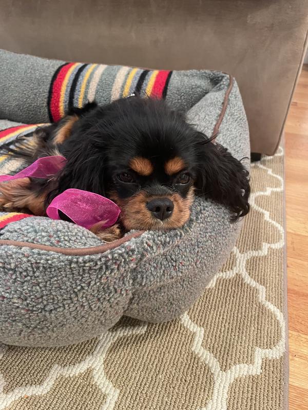 Review Thumbnail Image 0 221776140