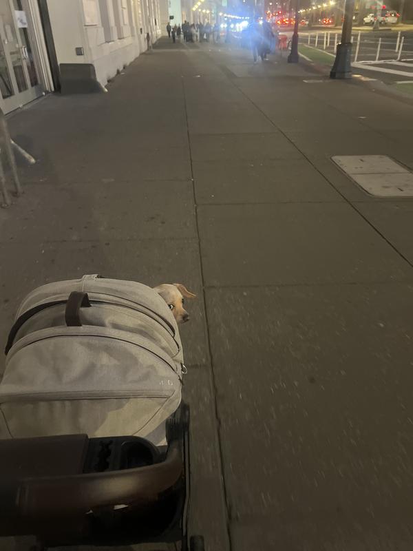 Review Thumbnail Image 0 239035773